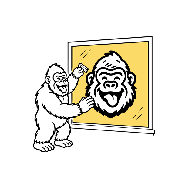 Window Graphics