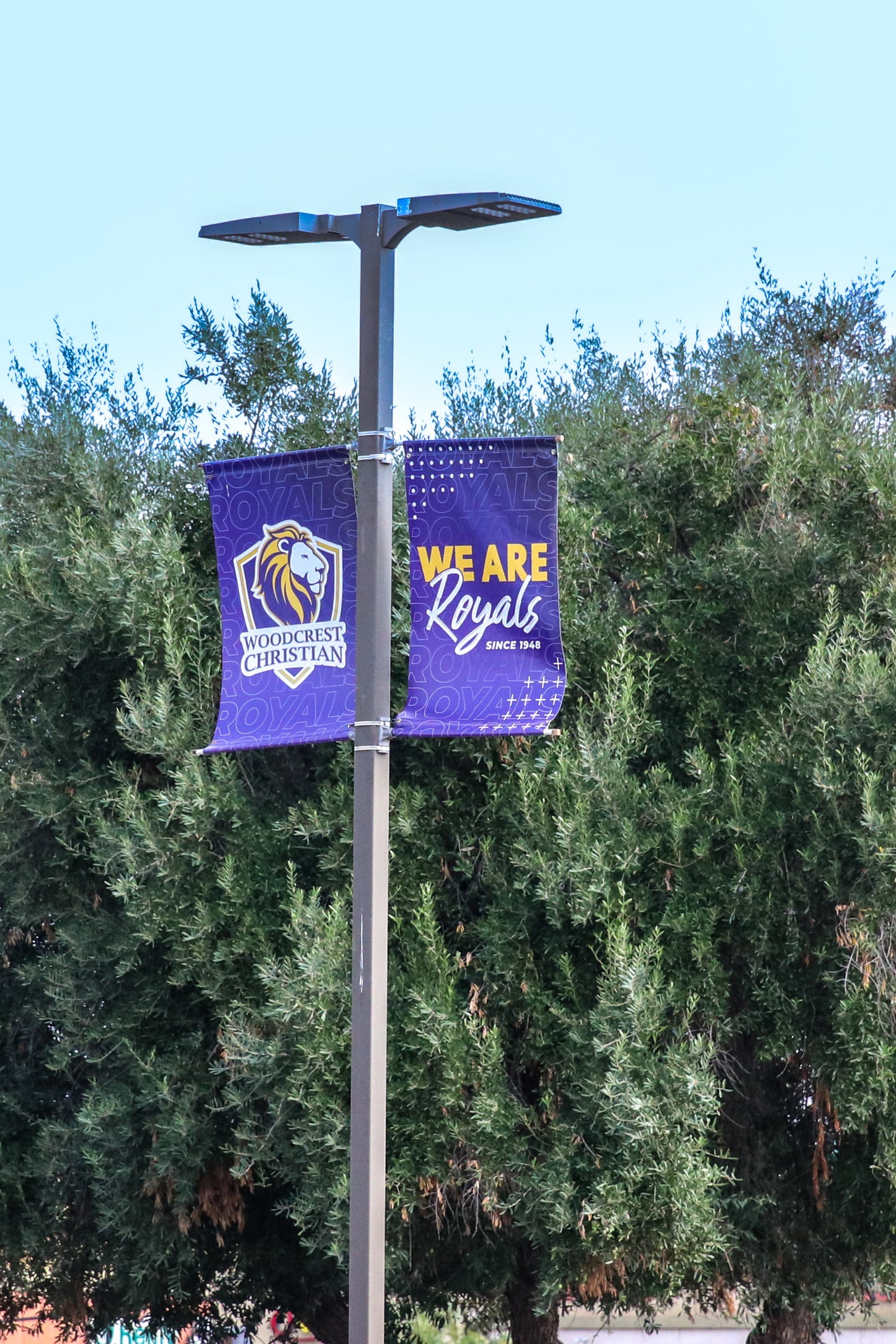Large Banner
